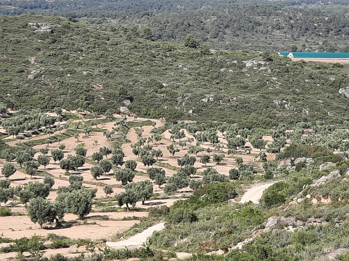 Campo Golden Heritage Maella Bagian luar foto