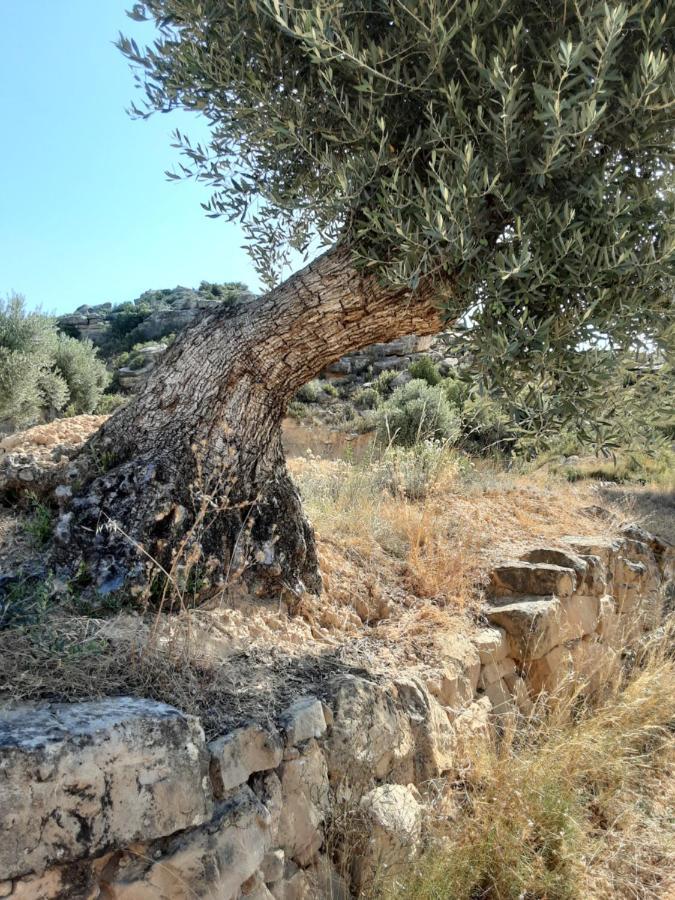 Campo Golden Heritage Maella Bagian luar foto